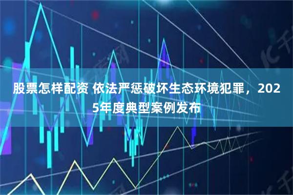 股票怎样配资 依法严惩破坏生态环境犯罪，2025年度典型案例发布