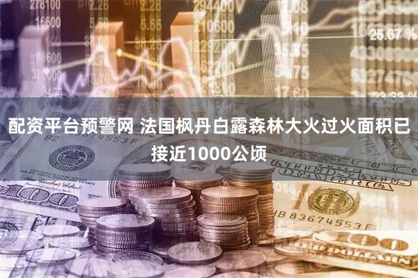 配资平台预警网 法国枫丹白露森林大火过火面积已接近1000公顷